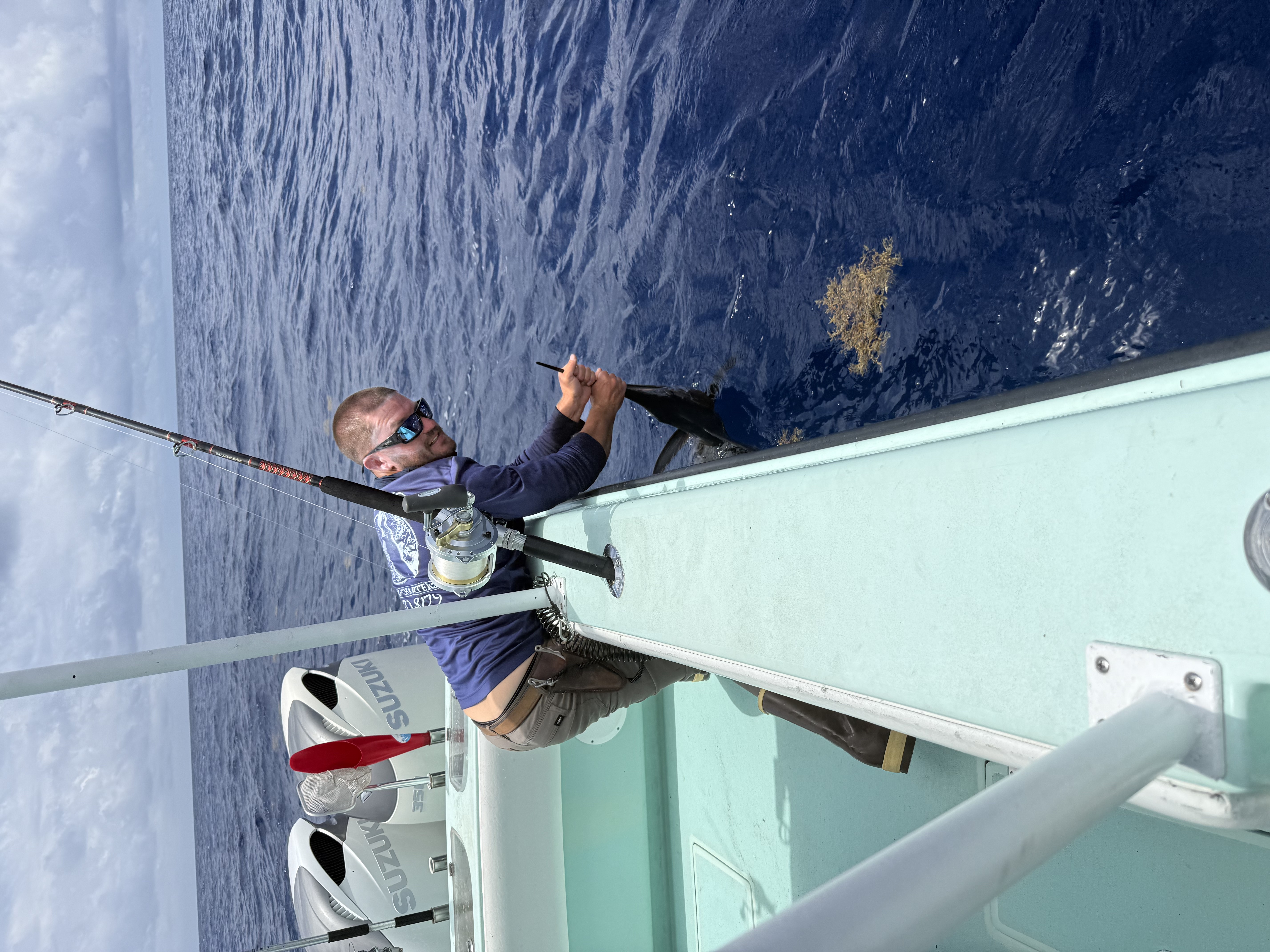 Sailfish